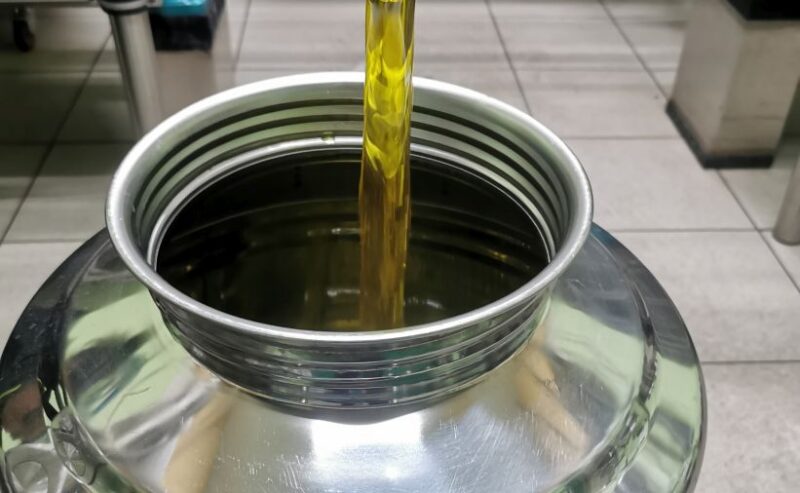 Analisi olio 2025